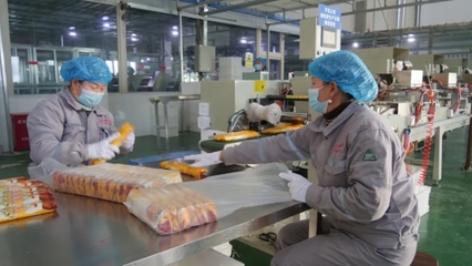 砥礪十年·向新出發(fā) 在霍爾果斯與世界對話食品互聯(lián)網(wǎng)銷售