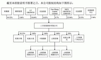 三只松鼠沖刺IPO 單類產(chǎn)品營收占大頭，食品互聯(lián)網(wǎng)銷售的破局之道